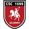 ACS Viitorul Selimbar