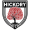 Hickory FC USL 2